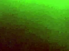 stepmom shares family stories in casual conversation.