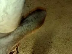 wow, my girl squirting hard on my bent-over cock!