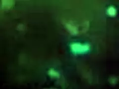 Why Make Yukie Finger Her Pussy With Two Fingers?