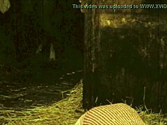 Dark Lantern Entertainment Bagikan Konfes Liar Gentleman Victoria dengan Hewan