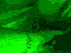 i'm on the phone getting a bj and fingering from my mature amateur