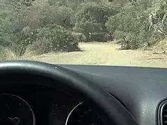 Did that stranger pick me up and pull out his big dick in the car?