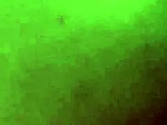 I Attempt Anal with My White Milf Body