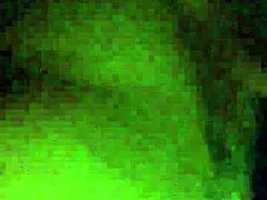 Friends getting wild at night