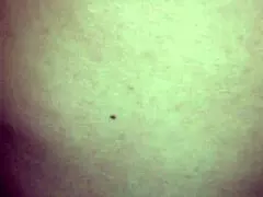 Single Mom Wants Milk Inside During Quarantine?