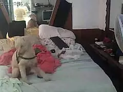 Žurka na krevetu sa velikim dupetima Melissa devasa - Paty Bumbum?