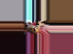 아믈 솔로 1113 프랑스 아마추어 새틴 란제리 입고 림밍 보지 핥기 열정