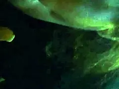 My step mom sucking her boyfriend's dick and swallowing