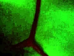 Mexican Latina MILF Prostitute Gets Anal Assfucking in Doggystyle