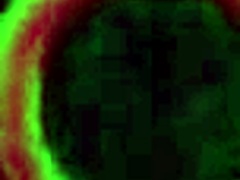 Siri Se Masturba Selvagem na Cozinha Esperando Brownies!