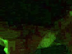 The mature whore endures intense face fucking, gagging as she swallows every drop