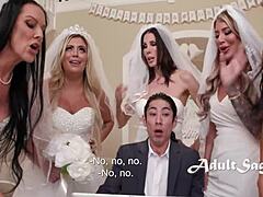 يا إلهي، لا أستطيع حتى، عصابة العروس تفسد هذا الرجل تماما لتخريبه حفلات الزفاف