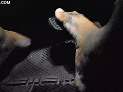 The Moment Driver Touches Gas Pedal With Toes!