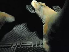 The Moment Driver Touches Gas Pedal With Toes!