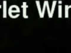 hey thick white milf, wanna cum hard with my joi instructions?