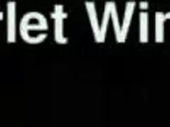 hey thick white milf, wanna cum hard with my joi instructions?