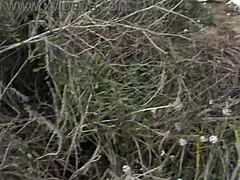 Uh, my french stepmom, she let me watch her pissing... so hairy!