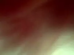 Cute girl gives blowjob and gets fucked