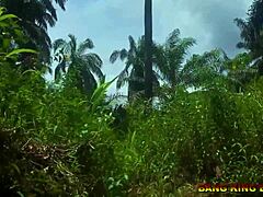 Oj, kan inte tro att den här afrikanska skönheten tar bbc hardcore på byvägen... otroligt!