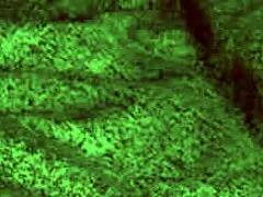 Redhot fox babe rides rough, giving blowjobs and cowgirl with big tits