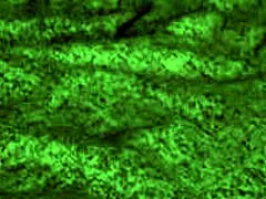 Redhot fox babe rides rough, giving blowjobs and cowgirl with big tits