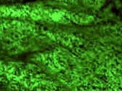 Redhot fox babe rides rough, giving blowjobs and cowgirl with big tits