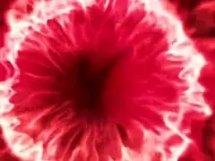 noche de MODELO with massage and small tits