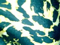 Зряла чернокожа прави мръсно BBC минет като проф