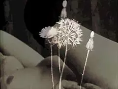 Exploring Vintage Pornography Classics