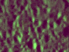 Hej stedmor, vil du blive kinky med hård sex i badeværelset i dag?