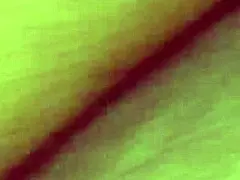 My friend wife sucking my cock doing handjob cumshot showing pussy