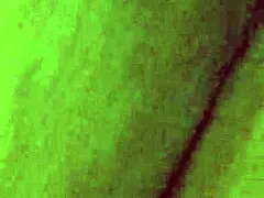 My friend wife sucking my cock doing handjob cumshot showing pussy