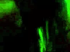 Amateur Couple From Italy Secret Sex!