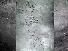 My Secret Life Vintage Silent Films