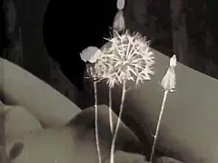 My Secret Life Vintage Silent Films