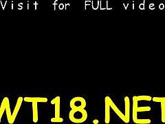 زوجين متحرقين يبدأون الجماع الخشن والمص السكسي