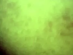 i feel bbw milf orgasm while bent over doggystyle riding wet