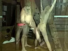 wanna see my wife tied up and spanked hard?