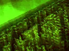 In Lust for Darkness verkennen we geile MILF orgies en bondage spel.