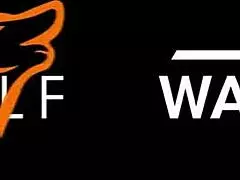 Wow, public milf pov blowjob with huge cumshot in mouth - dirty priscilla wolfwagnercom