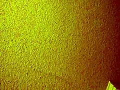 Yo, cheap Asian hooker gets licked and creampied in missionary! 😜