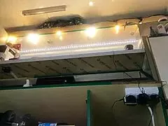 Sexy brunette milf with long legs flashes big pussy lips at work