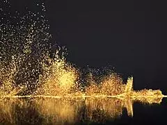 Hey, watch Cece LaRue and Izie Bella strip, lick, and ride in wild POV 69! 😘