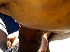 Car blowjob, what's happening in that backseat today?