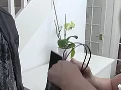 Busty Lacey Starr engages in hardcore activities with blowjob in agedlove context