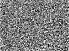 Tomb Raider randomness includes accidents, bloopers, and outdoor scenes.