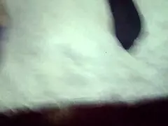 sativa rose and nikki hunter hang out, licking and riding big cocks casually.