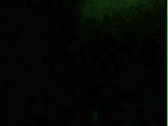 damn! spanish fiend macaronitime gets wild on the wet streets!