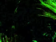 MILF Gemuk Calista Roxxx Adegan Intim Lengkung Semula Jadi