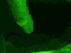 FEEL THE PHONE MASTURBATION AS SHE BLOWS AND FINGERS! AMATEUR MATURE CHUBBY HOMEMADE BJ SESSION